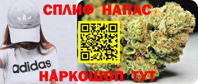 стафф Ставрополь
