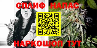 стафф Ставрополь
