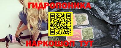стафф Ставрополь